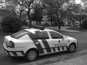 S/W Ver: 99.13.11R