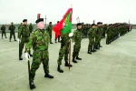 Parada militar
