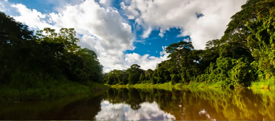 ambiental