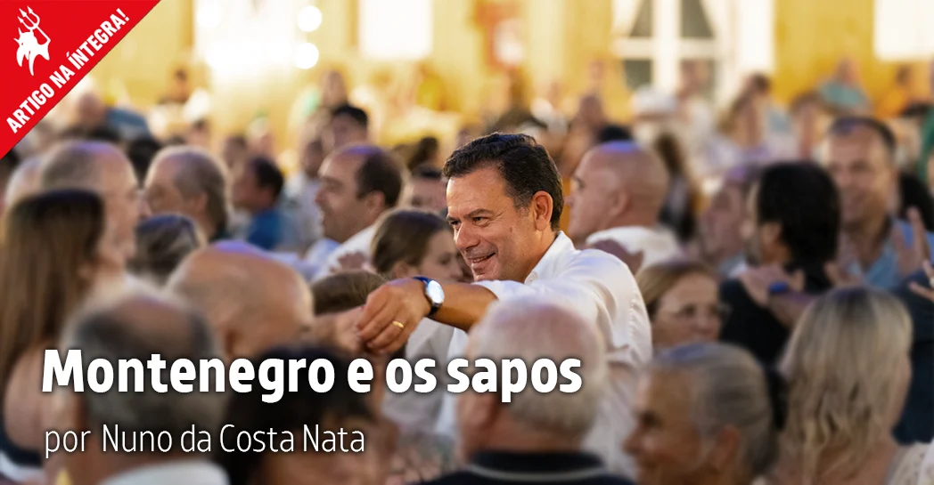 Imagem do artigo. Montenegro e os sapos