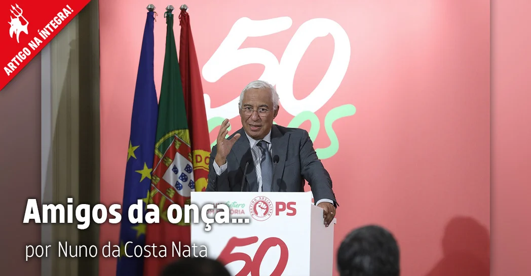 Imagem do artigo. Amigos da onça